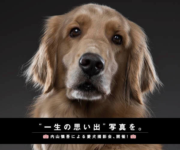 撮影会開催 フォトグラファー内山慎吾が 愛犬の 最高の一枚 を撮影 さらに写真展にも展示されます Retriever Life レトリーバー ライフ