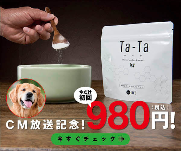 連載 シニアさんとの生活７か条ー Kitchen Dog 南村友紀のハッピークッキング 10 Retriever Life レトリーバーライフ