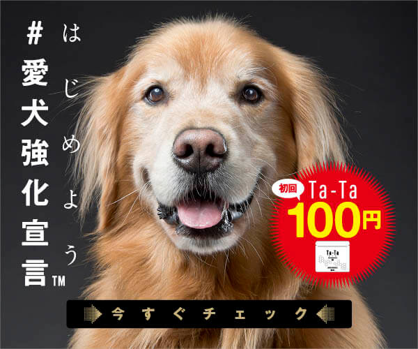 自宅からtvの生放送に出演中 乱入したゴールデン 気まずそうな飼い主をよそに カメラにどアップでご挨拶 可愛い 動画 Retriever Life レトリーバーライフ