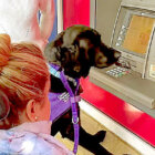 ラブラドールレトリーバー,動画