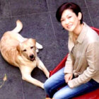 ラブラドールレトリーバー,取材