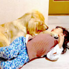 ゴールデンレトリーバー,動画