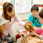 レトリーバー,グリーフケア